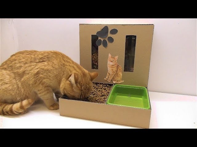 Игрушка коробка для кота своими руками 79