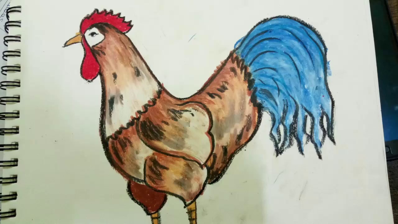 Drew cock drawing class