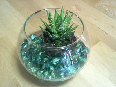 Cómo hacer un centro de mesa con cactus y pecera | facilisimo.com