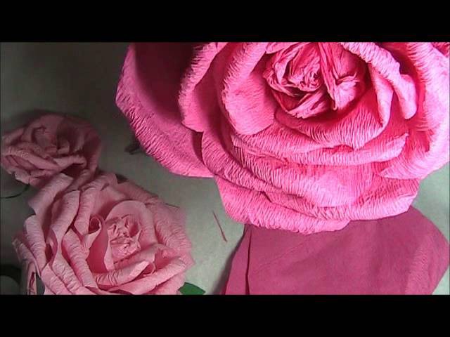 Crepe Paper Rose Sped Up