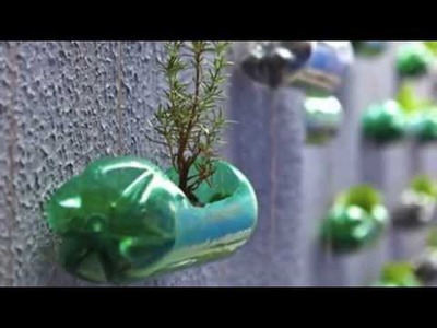 DIY  Creation of a modern garden with upcycling plastic bottles
