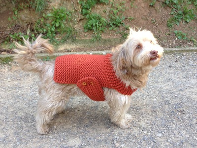 How to Loom Knit a Dog Sweater. Coat (DIY Tutorial)
