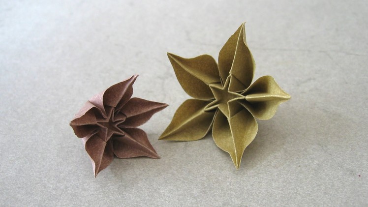 Origami Instructions: Carambola (Carmen Sprung)