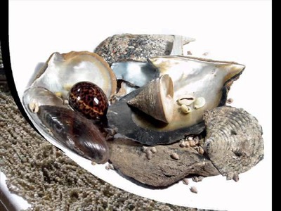 Bedido - Groothandel Philippine Beads, natuurlijke bestanddelen, Shell sieraden, hout accessoire