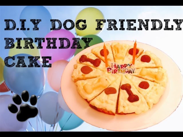 BIRTHDAY CAKE WITH CHICKEN MINCE - DIY Dog Food - a tutorial by Cooking For Dogs