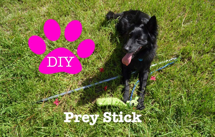 DIY Dog Toy: Prey Stick