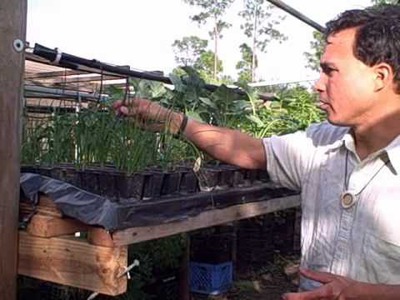 DIY Homemade Hydroponic Vertical Garden and Urban Farm in South Florida