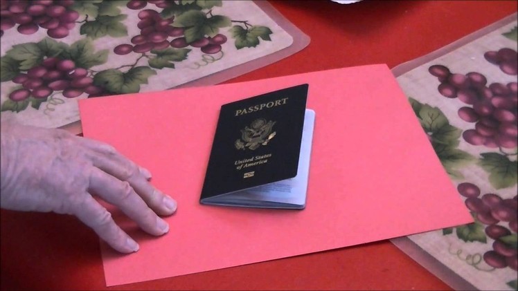 DIY RFID Proof Passport Sleeve
