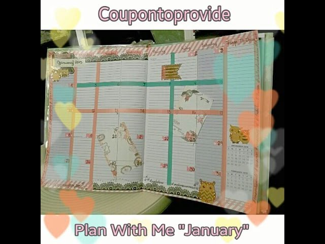 REQUESTED: Planner on a Budget Series "Plan With Me January + a DIY"