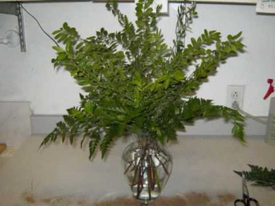 Simple DIY Vase Flower Arrangements