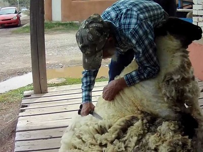 Handmade: From Sheep to Rug