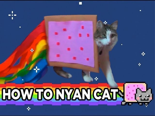 HOW TO NYAN CAT