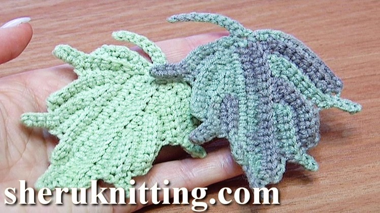 Crochet Leaf How to Tutorial 24 Part 2 of 2 Single Crochet Stitches Worked In Back Loop