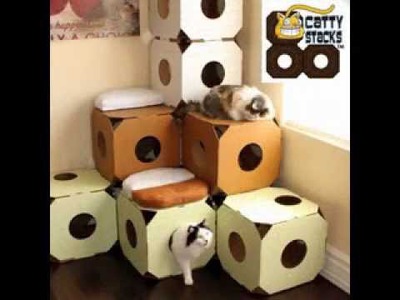 Easy DIY cat house projects ideas