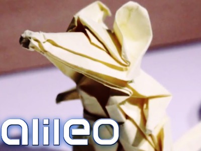 Origami eXtrem | Galileo | ProSieben
