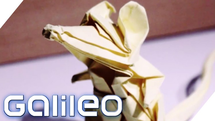 Origami eXtrem | Galileo | ProSieben