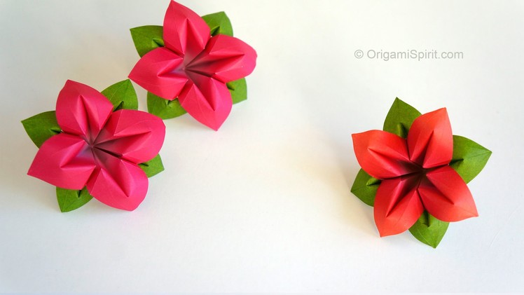 Origami Flower : : Flor de papel 4 Pétalos