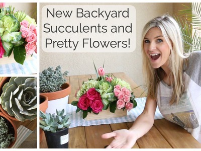 Bonus Video: New Backyard, Succulents and Flowers!