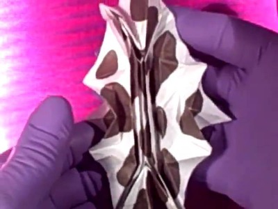 Hypo origami