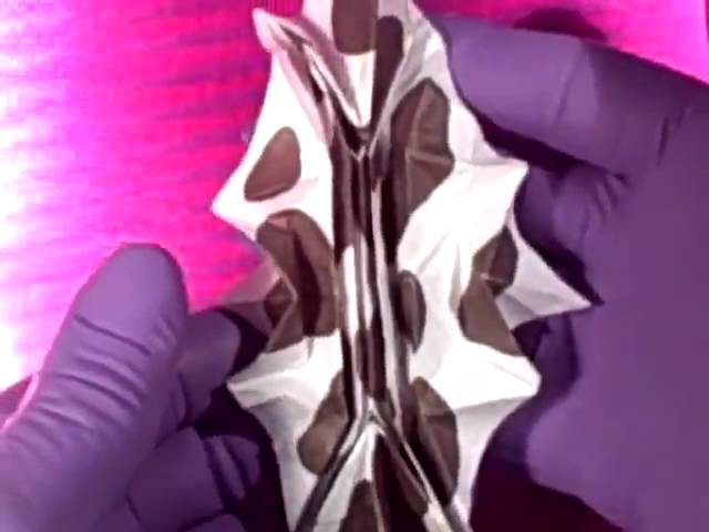 Hypo origami
