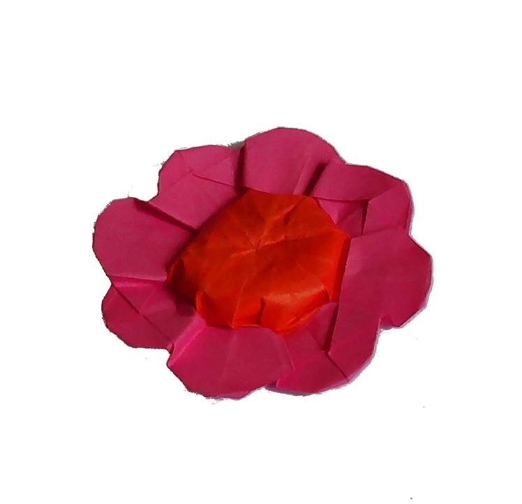 Origami daisy (stokrotka)