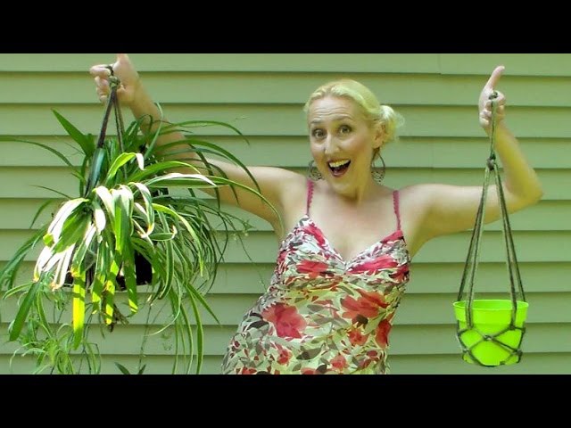 10 minute DIY rope plant hangers