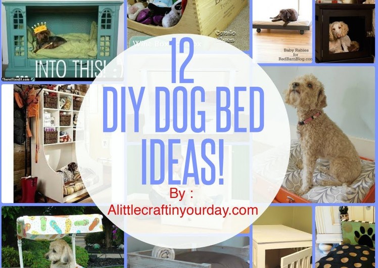 12 DIY Dog Bed Ideas!