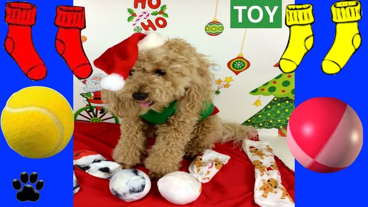 CHRISTMAS DOG SOCK TOY - XMAS FESTIVE BALL SOCK - DIY Dog Craft by Cooking For Dogs