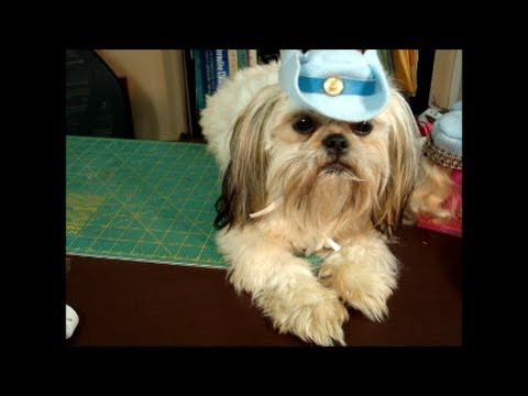 ✂ DIY Project: How To Make Western Cowboy Dog Hat ♡