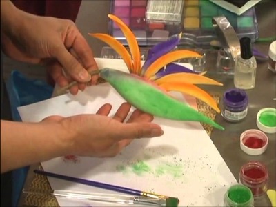 Birds Of Paradise And Blue Bonnets DVD Preview With Kaye Hartman Petal Crafts