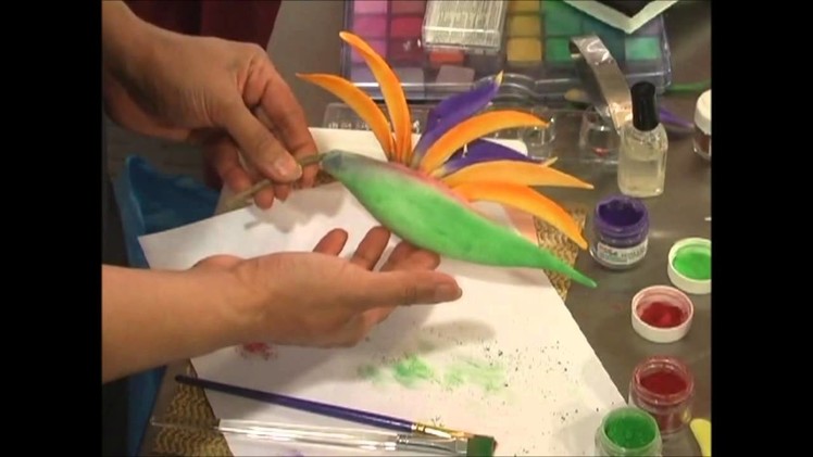 Birds Of Paradise And Blue Bonnets DVD Preview With Kaye Hartman Petal Crafts
