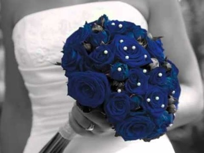 "Blue" Wedding and Social Stationery album by Carlson Craft