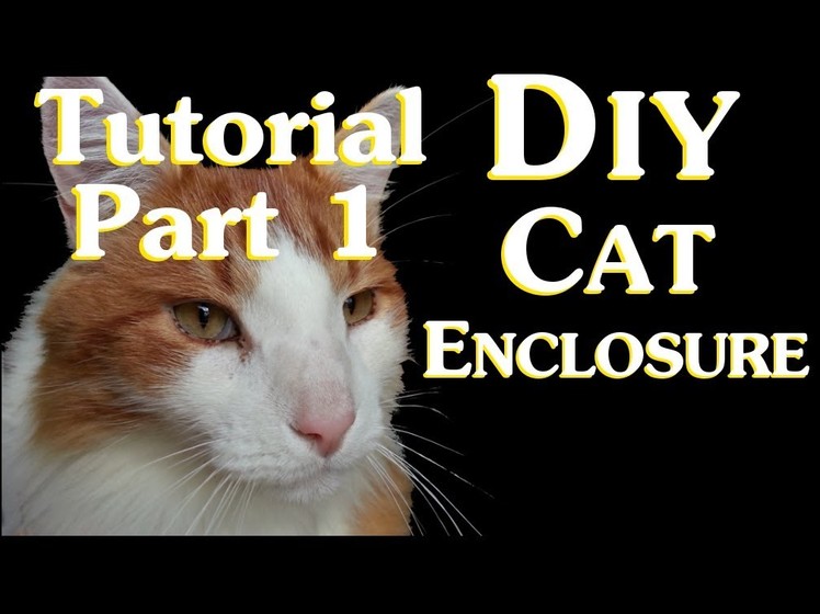 DIY Cat Enclosure Tutorial Part 1 - Planning and Materials