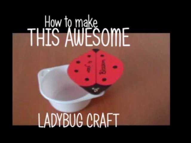 How to make an awesome Ladybug Craft