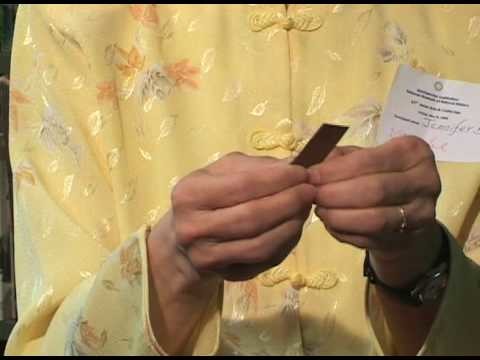 How to Make an Origami Paper Bull: Jennifer Bohlinger (Demonstration)