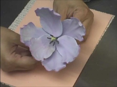 Tulips And Hydrageas DVD Preview With Kaye Hartman Petal Crafts