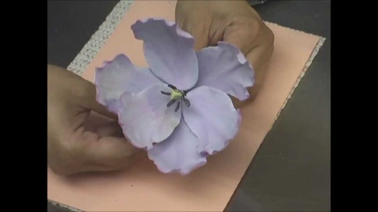 Tulips And Hydrageas DVD Preview With Kaye Hartman Petal Crafts