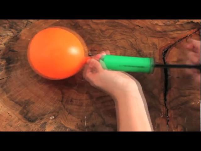 Craft Club's Balloon Fish Video