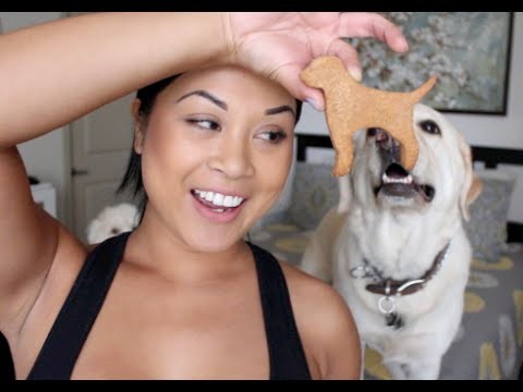 DIY Doggy Peanut Butter Treats!