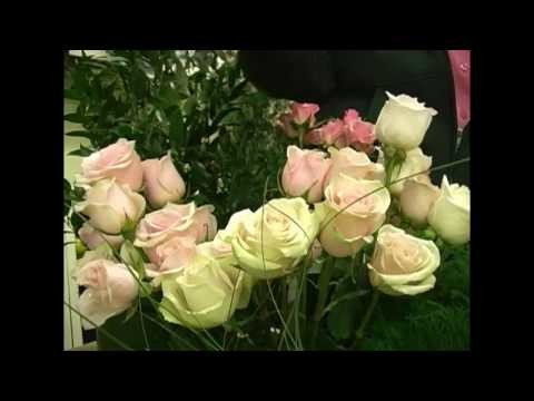 DIY Floral - Intro - Wedding Flowers