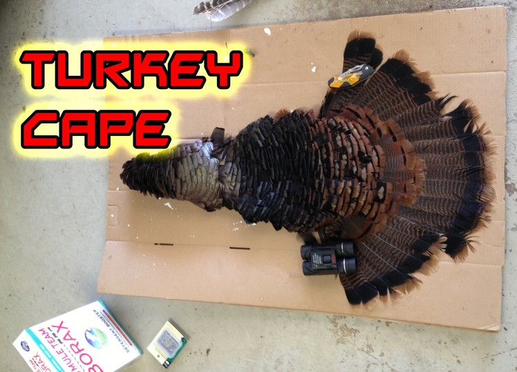 DIY How To Make A Turkey Cape Mount For Under $5