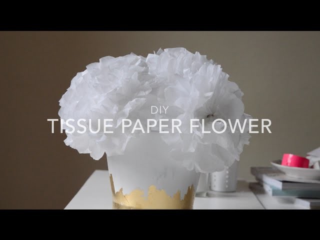 DIY Tissue Paper Flowers | Valentine's Day Decoration