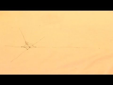 How to Draw a Spider Web Onto Fabric : Art & Painting Tutorials
