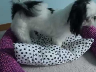 DIY- Knitted Pet Bed (Dog Bed) Under $20!
