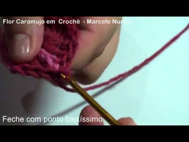 Flor_Caramujo_em_croche_marcelo_nunes