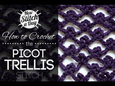 How to Crochet the Picot Trellis Stitch