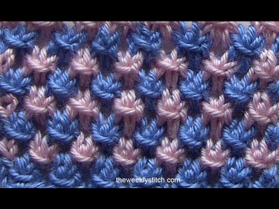 Two Color Star Stitch