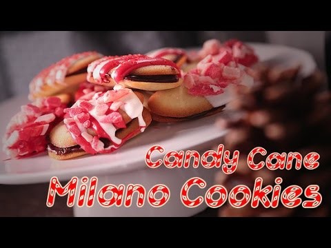 How to Make Candy Cane Milano Cookies For Santa!