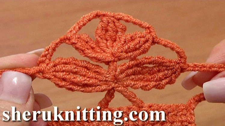 Crochet Complex Stitch of Clusters Tutorial 34 Crochet Twig Motif