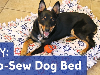 DIY No-Sew Dog Bed